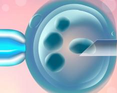 Image for post: The Pros and Cons of Becoming an Egg Donor