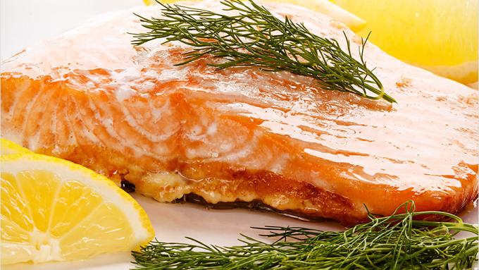 Salmon