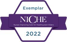 NICHE Exemplar Designation logo