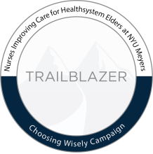 NICHE and ABIM Foundations Trailblazer Award
