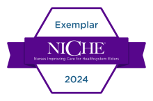 NICHE Exemplar Badge 2024